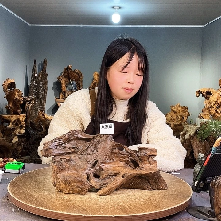 茶盏再****安369株木底座随行根艺