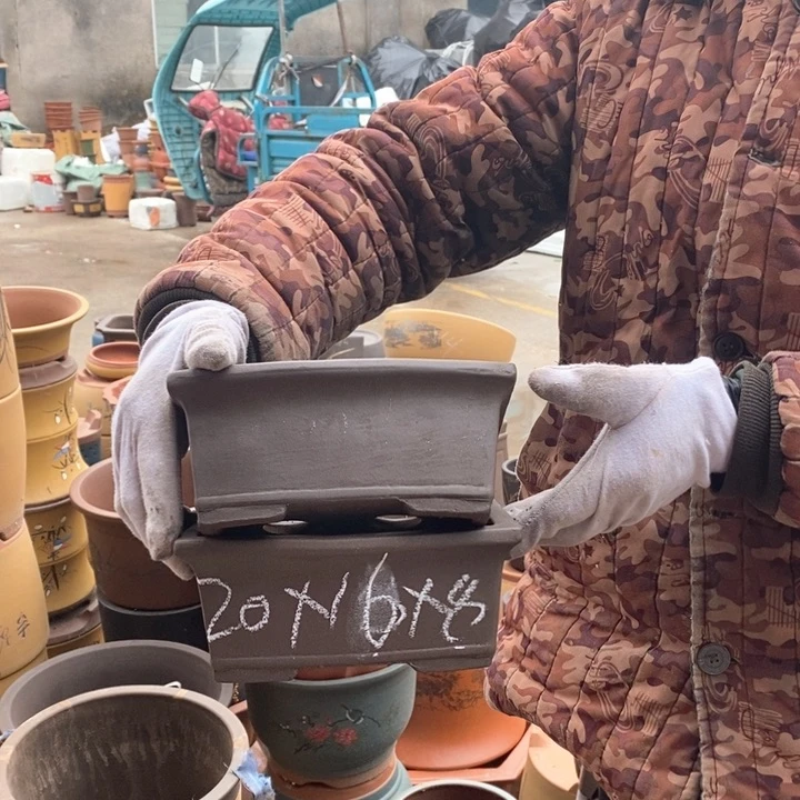 紫砂花盆盆栽花卉苗木种植