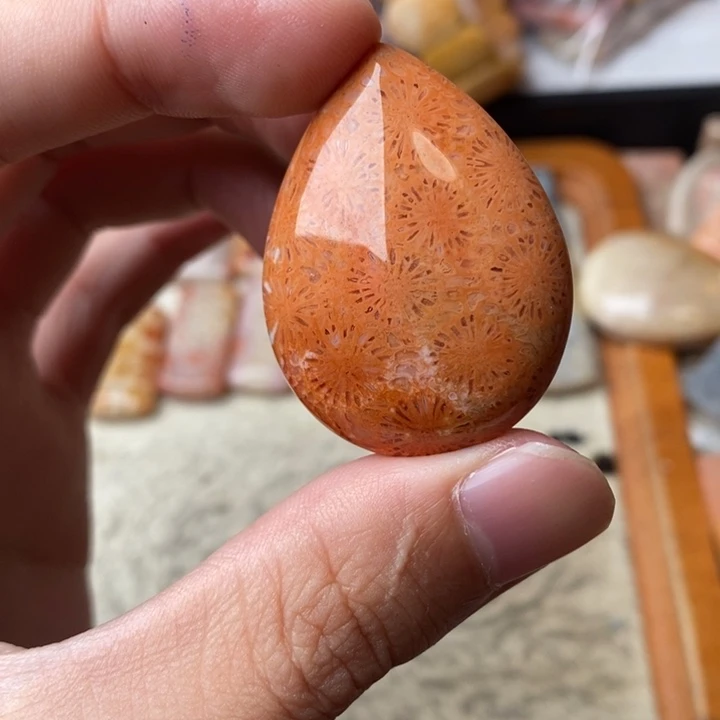 @***】颈饰未镶嵌硅化珊瑚（珊瑚玉）