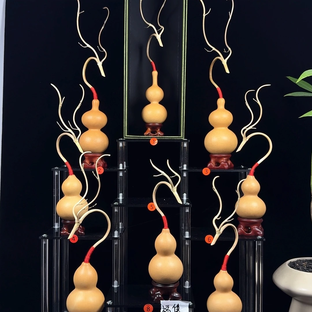 随***、文玩葫芦文玩葫芦