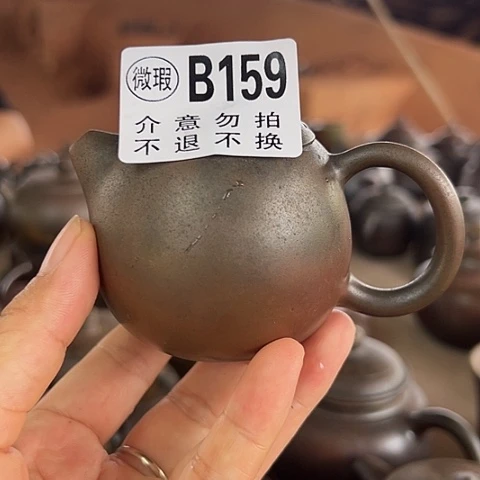 戬谷龙窑柴烧茶壶159