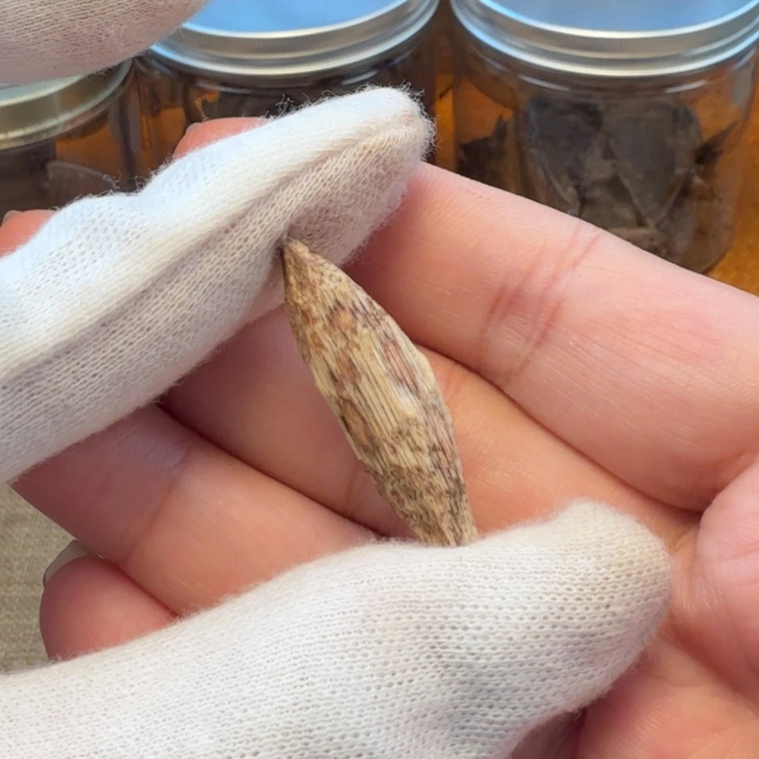 沉香斯里兰卡瓜子