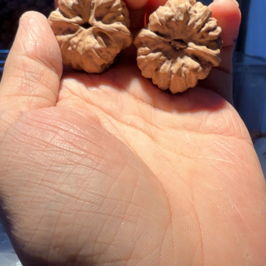 刘***记文玩核桃把件蛤蟆