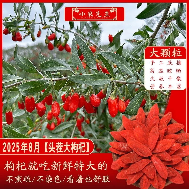 【手选大颗粒】红枸杞可干吃泡水泡茶泡酒代茶免洗正宗手工采摘青海