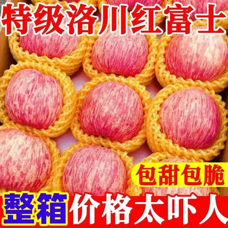 正宗红富士2-9斤苹果头茬香脆甜冰糖心当季水果新鲜孕妇包邮整箱