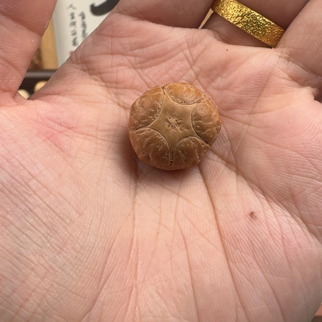 凤眼菩提手串19.6x13.5五星