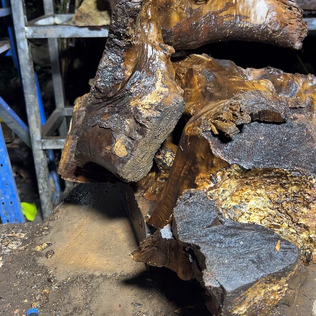 丹***了楠木2222222222222222222