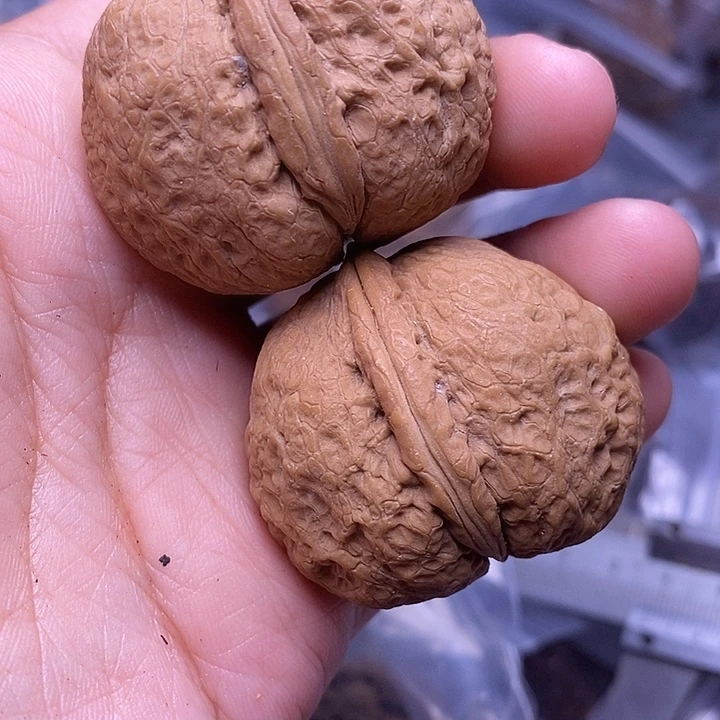 把件文玩核桃   27
