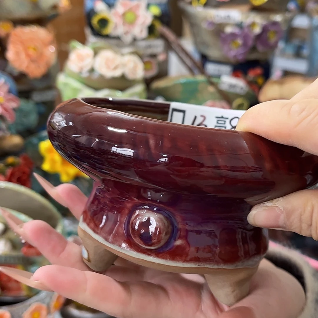 【闪购商品】红陶福利