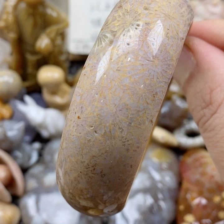 颈饰未镶嵌硅化珊瑚（珊瑚玉）有瑕 57