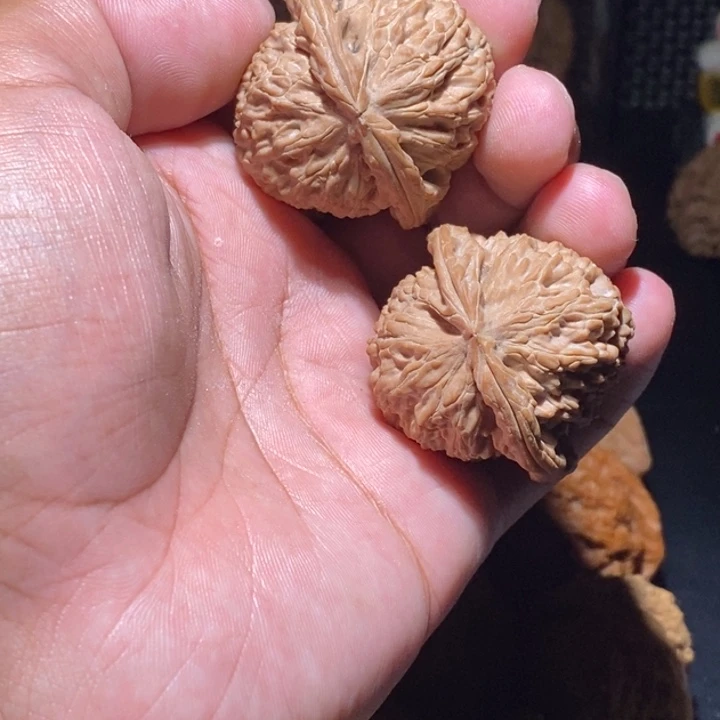 把件文玩核桃?白狮子