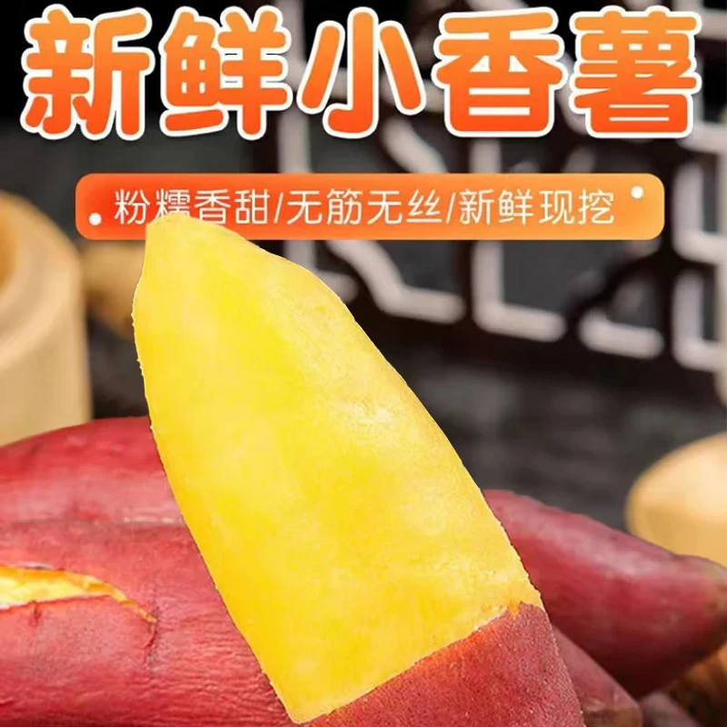 正宗沙地番薯农家西瓜红蜜自种糖心烤番薯粉糯香甜无丝无渣早餐