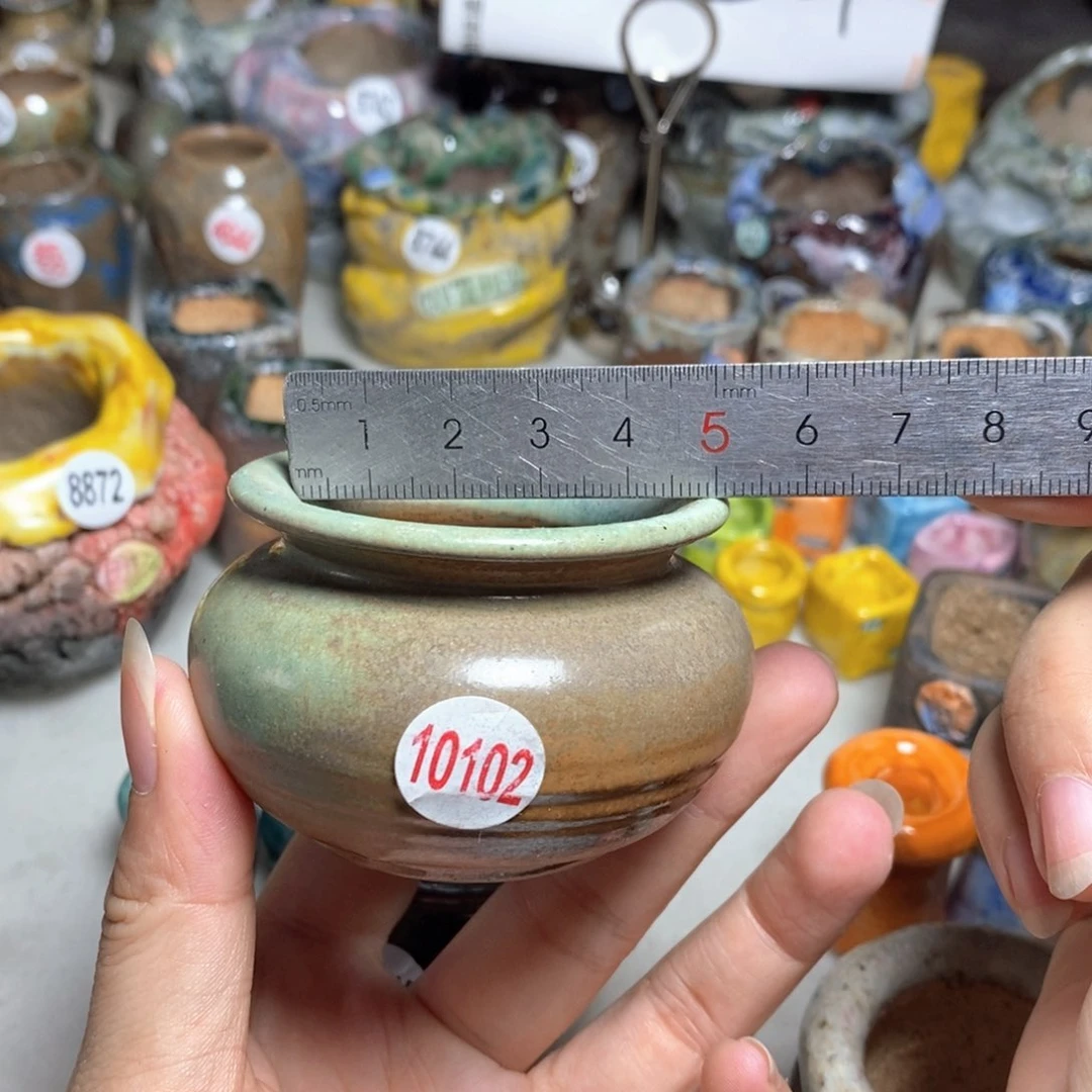 拍5送一个小礼物