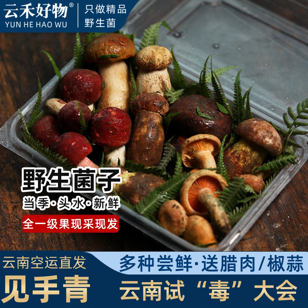 全野生菌组合500g【尝鲜直播福利】野生菌组合