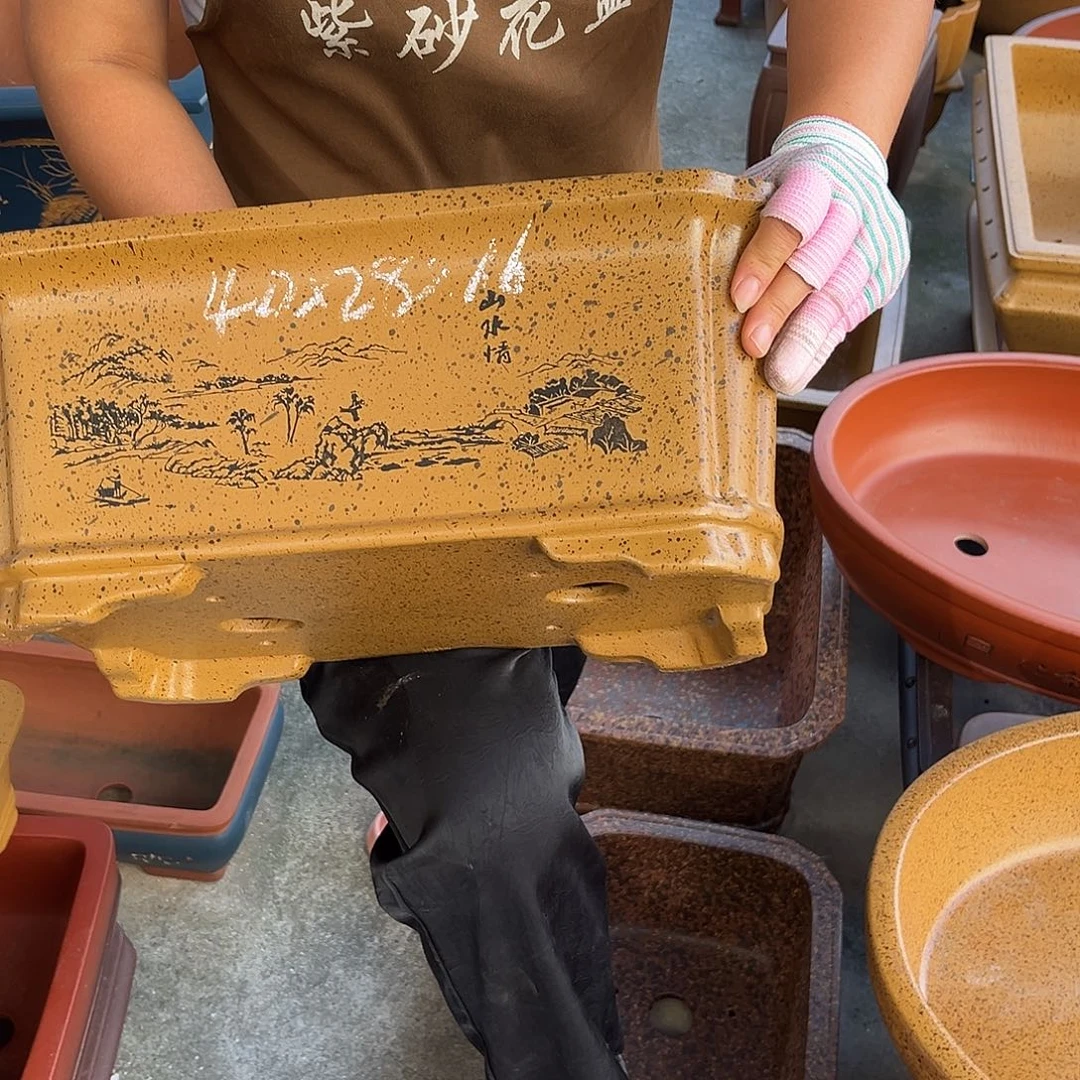 紫砂花盆盆景艺术