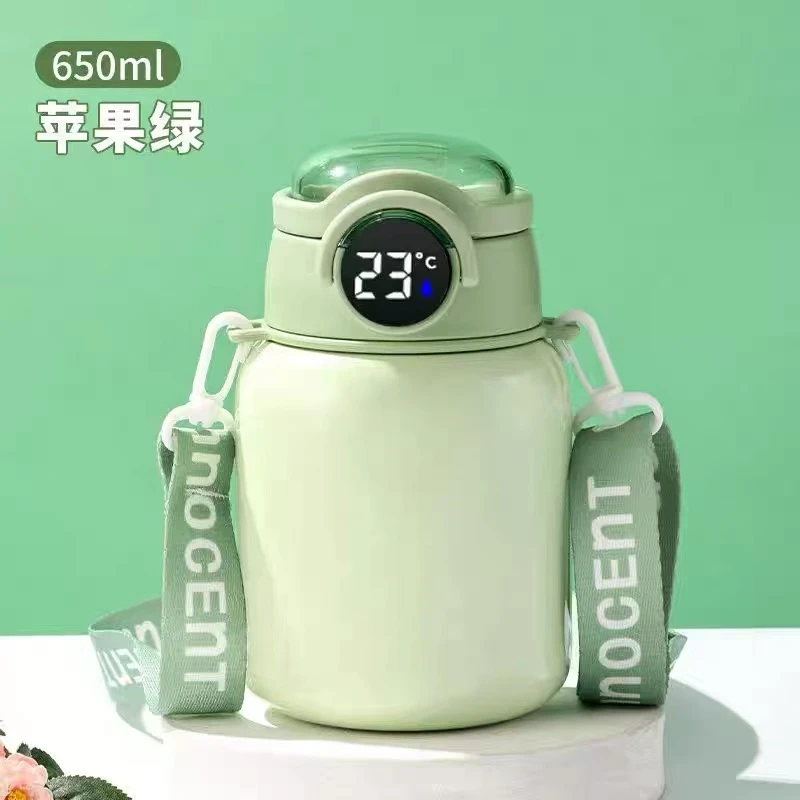 智能温度显示保温杯