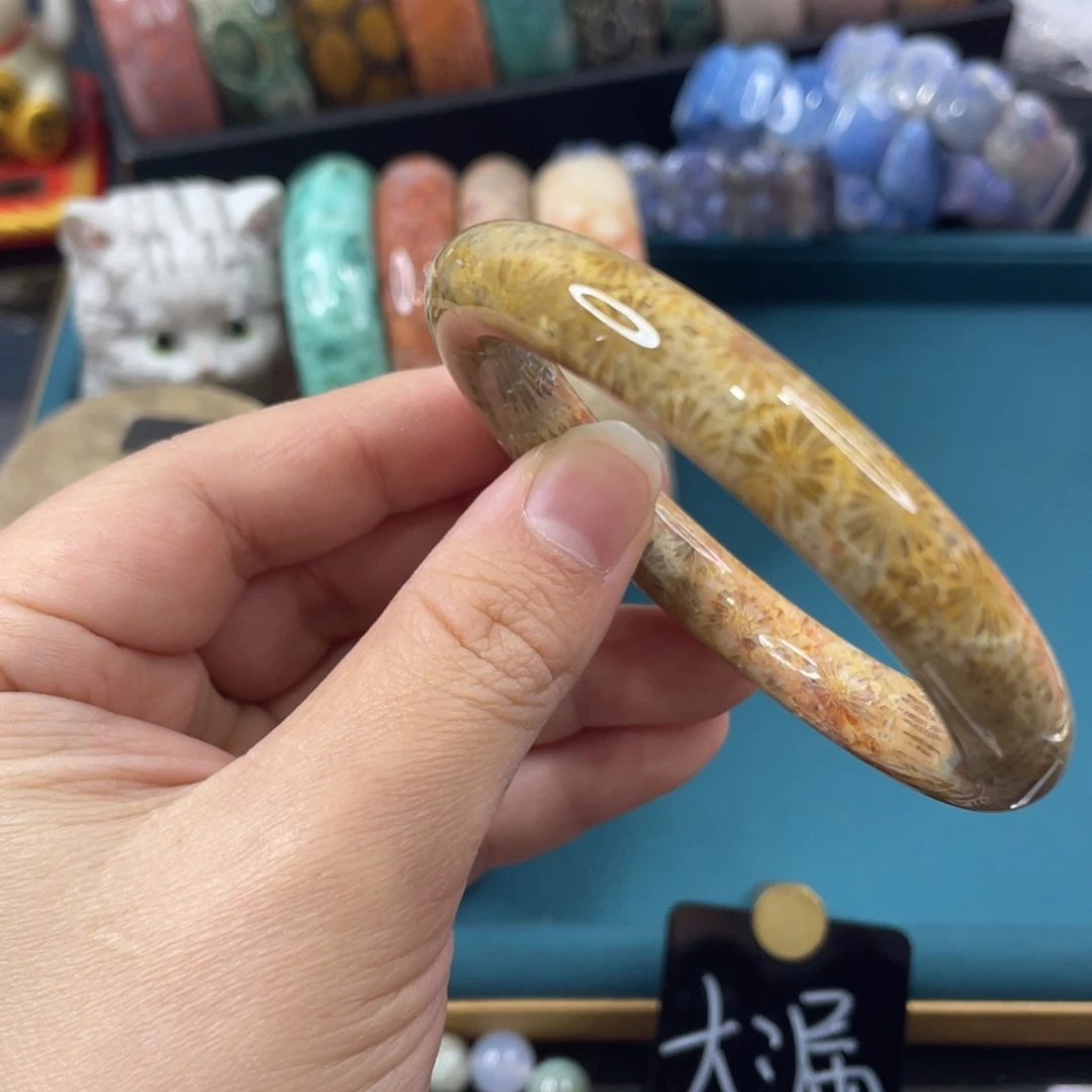 未镶嵌手镯硅化玉