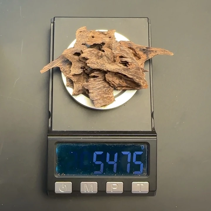 沉香摆件海南鸡母虫房梁5.4克