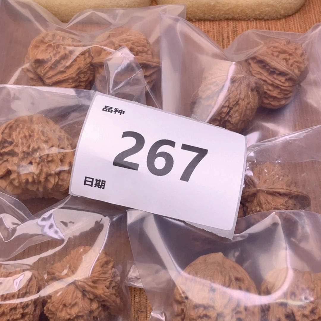 文玩核桃把件267号6对带练手凤凰台