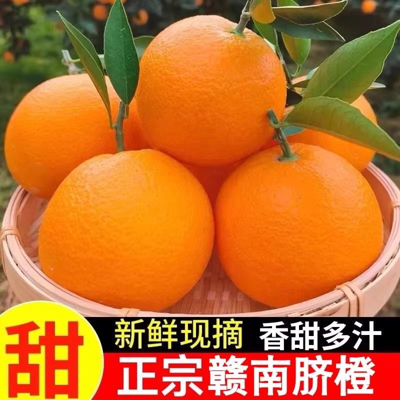 当季江西赣南多汁脐橙新鲜细腻脐橙现摘10斤装赣南薄皮早熟甜脐橙