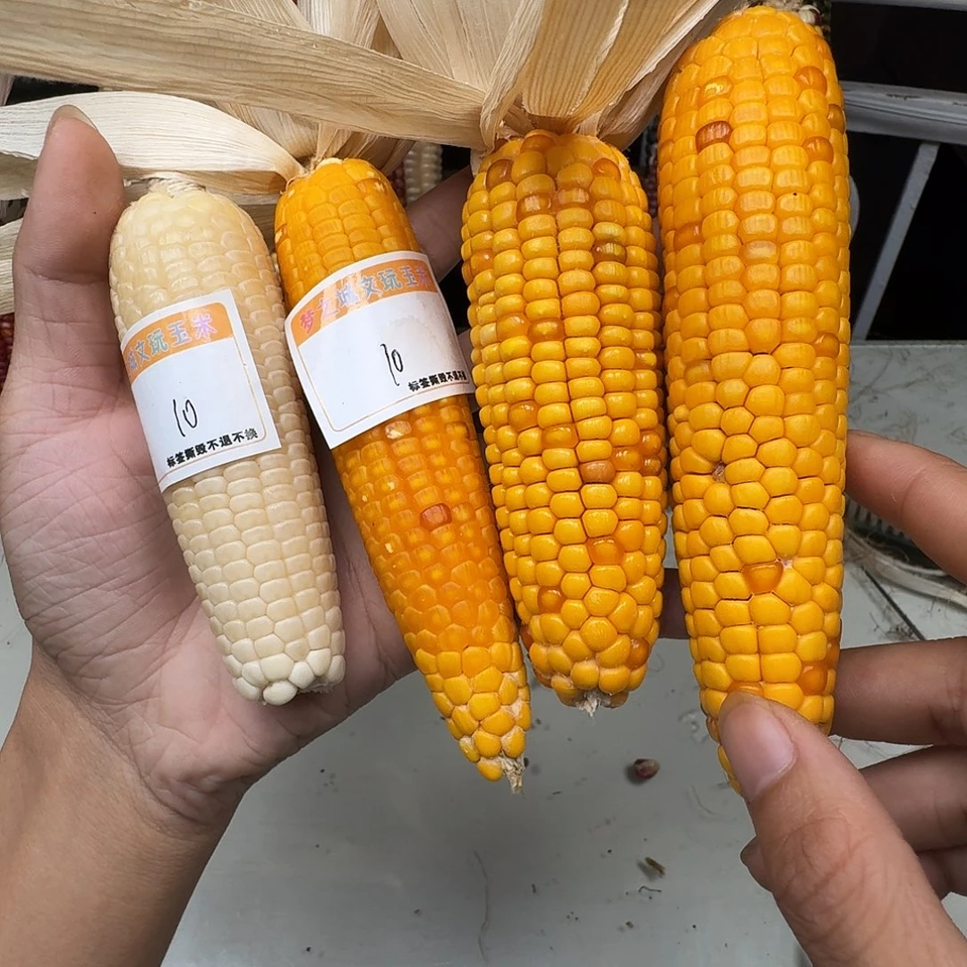 D***等吊坠柏香籽/百香籽