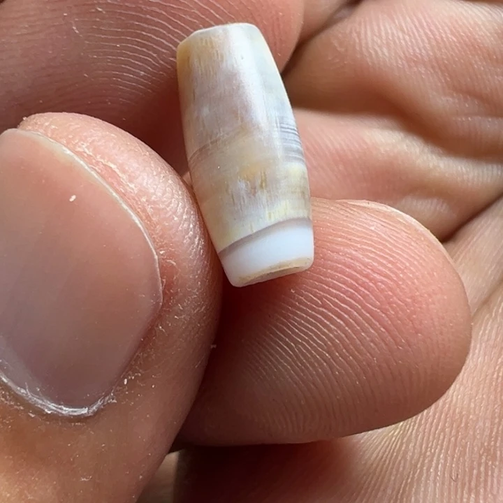泥塑x50     13*6满沁糖管