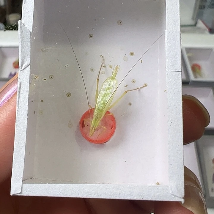 哈哈哈哈哈哈哈哈哈