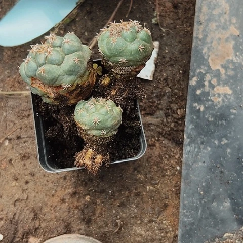 永***败244出了处理出了一个