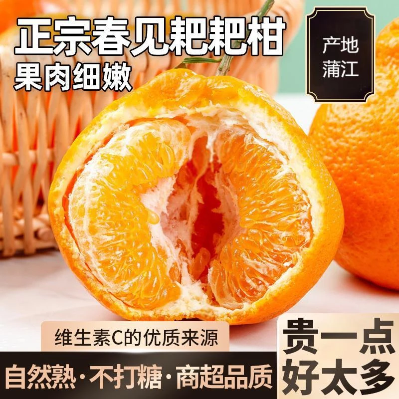 [新鲜直发]四川春见耙耙柑橘子孕妇水果当季新鲜现摘产地直发