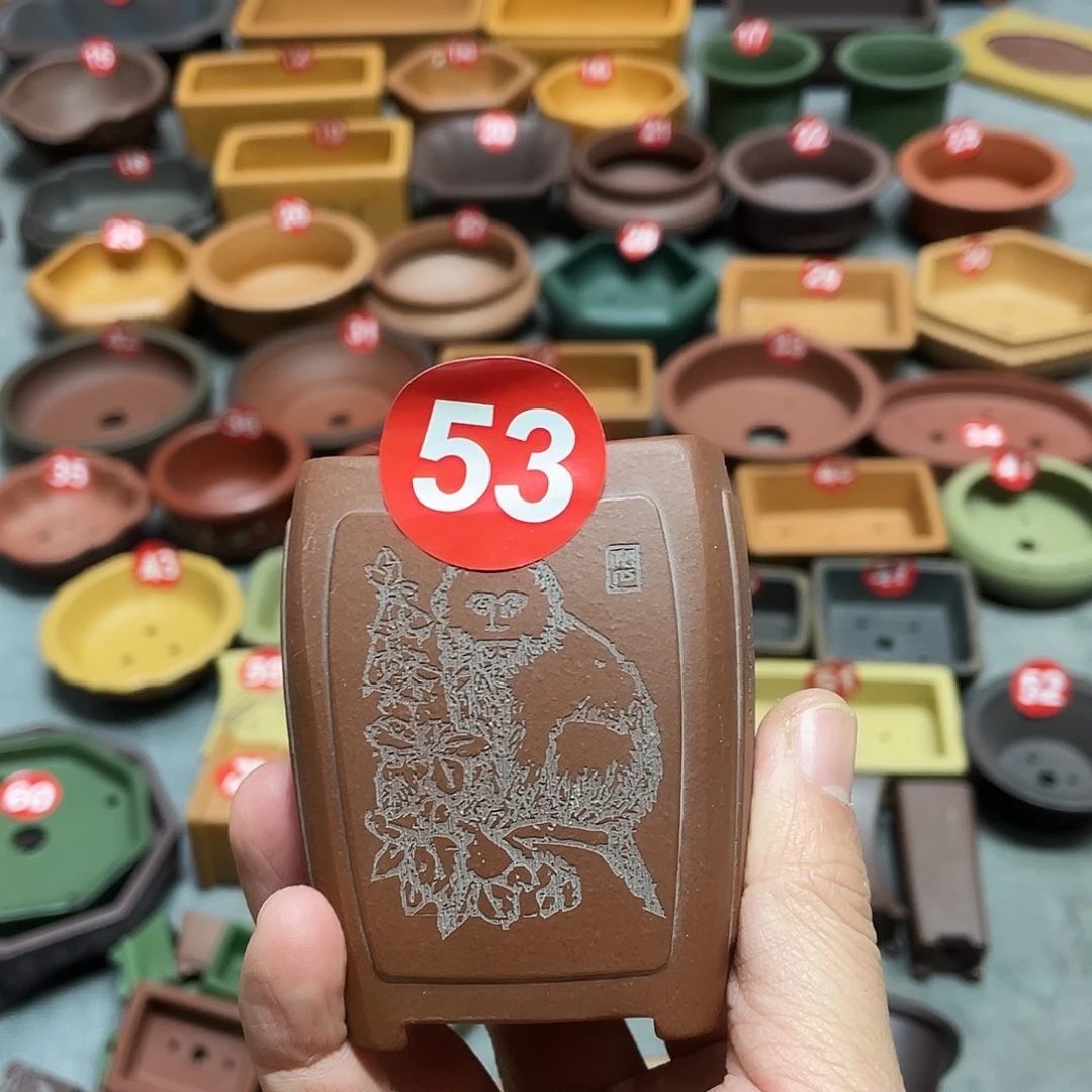 紫砂小盆5*7cmmmmm