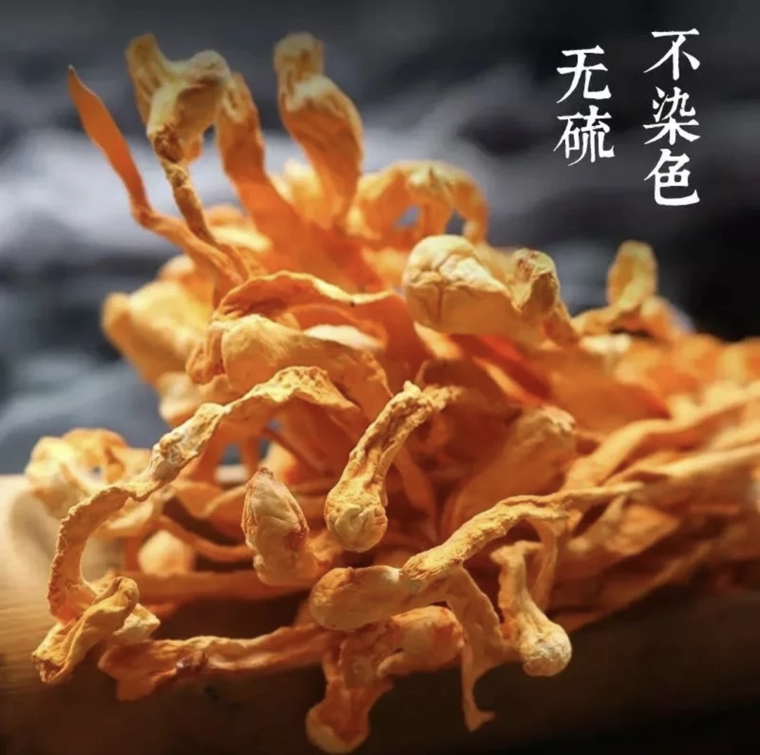 云南高山林下火山灰仿野生种植  虫草花  自然晾晒干货