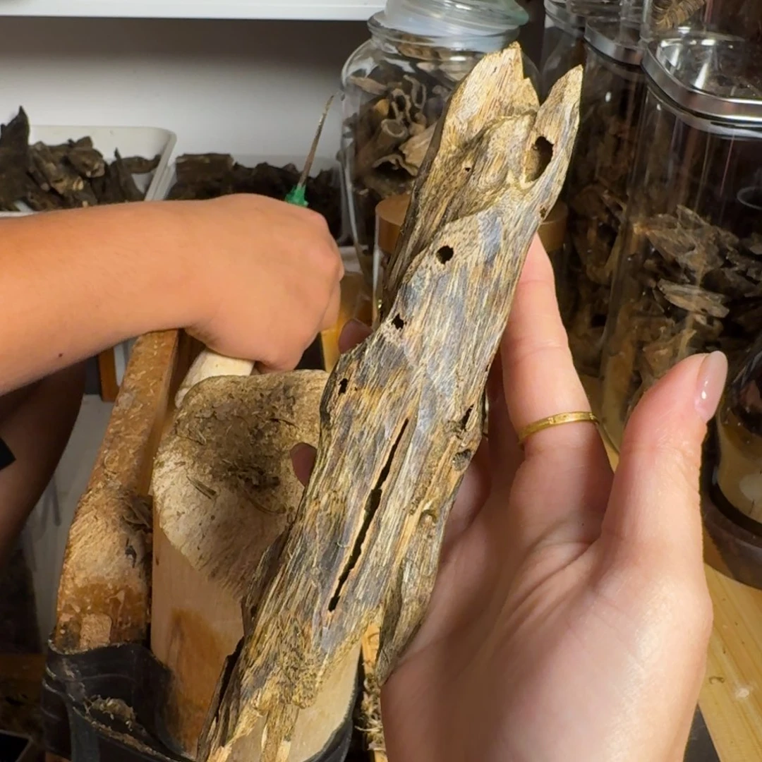 沉香白奇千里香品种虫漏香33克