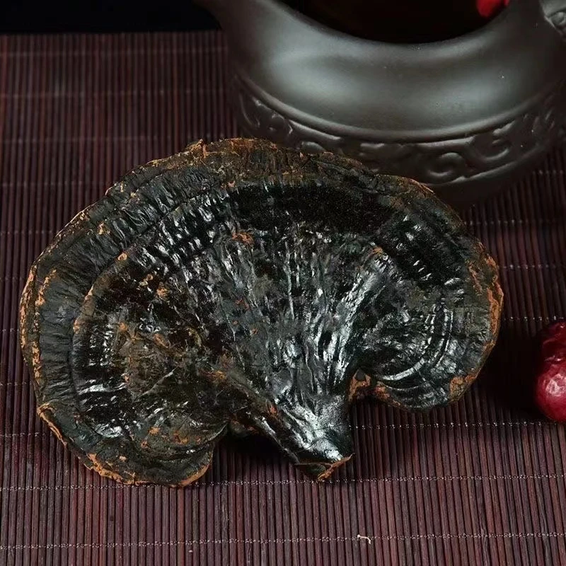 整朵灵芝 泡水 泡酒 摆件 到手500克