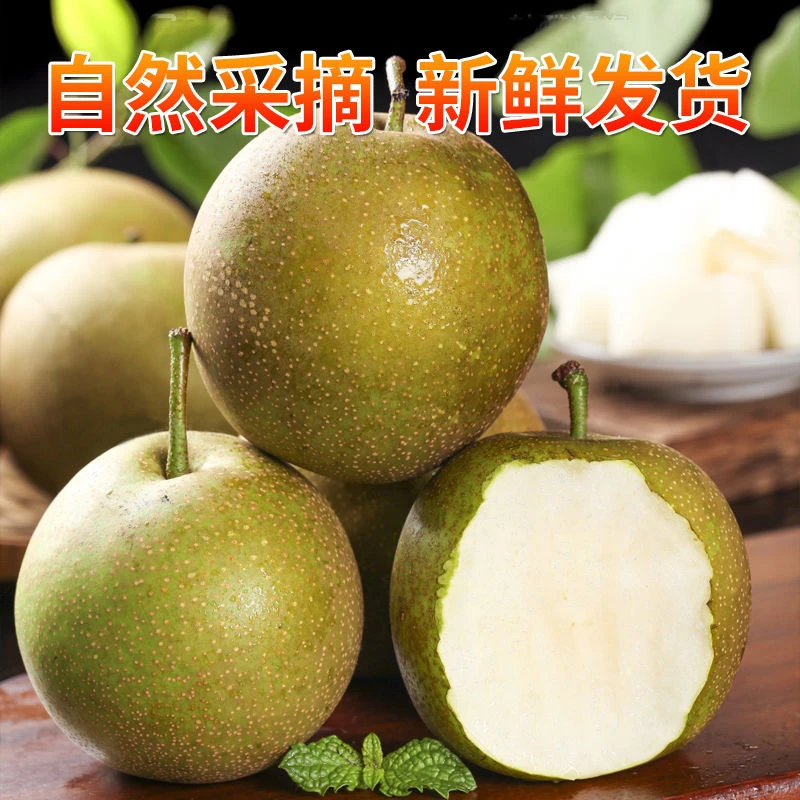 新鲜现摘翠冠梨子当季应季大梨子青皮超甜新鲜水果非砂梨黄花梨
