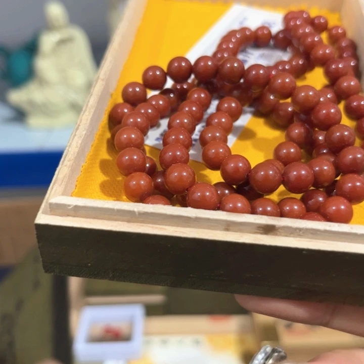 茶宠阿哈哈哈哈哈哈