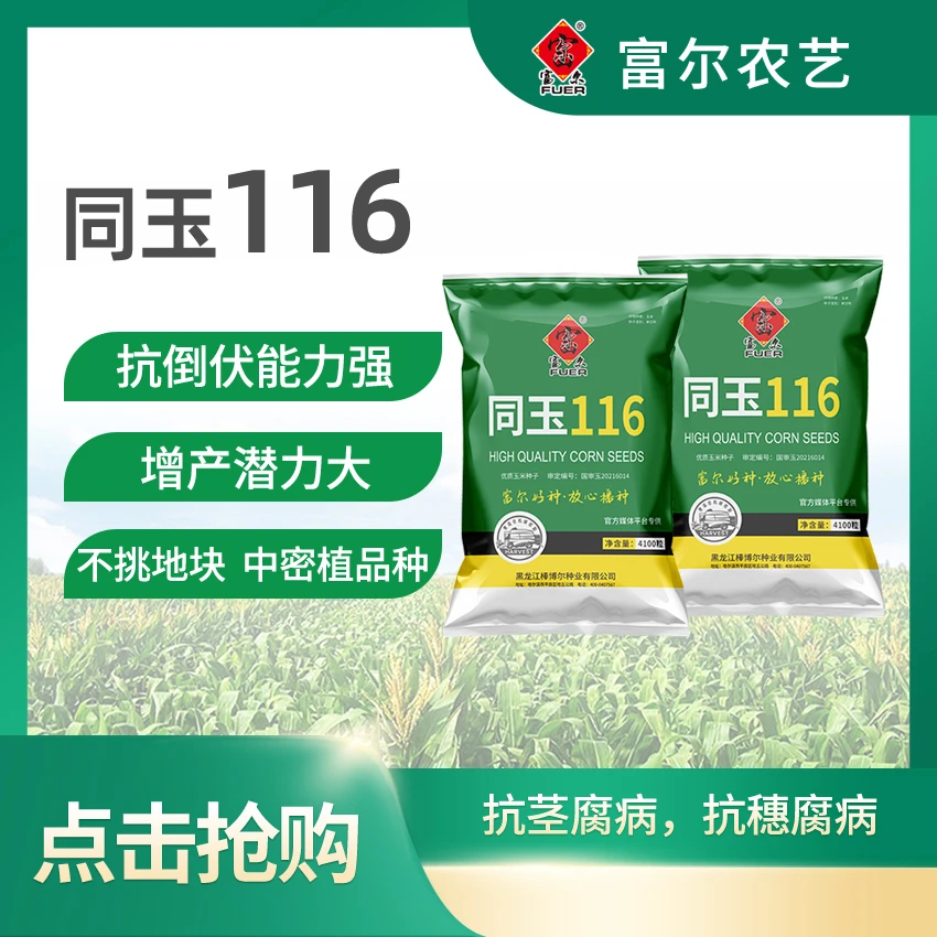 富尔富尔农艺同玉116玉米种子