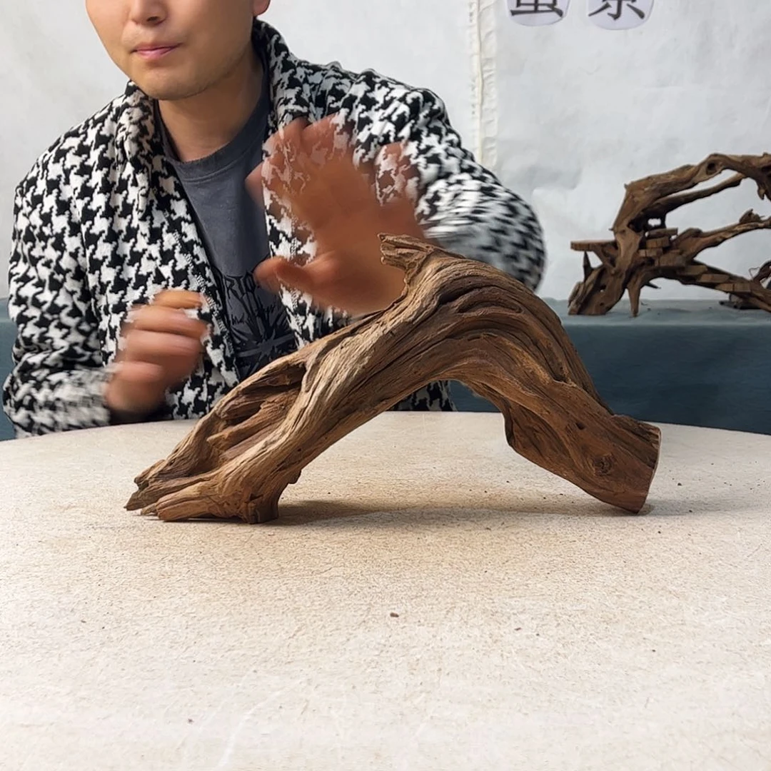 沉木造景爬宠造景