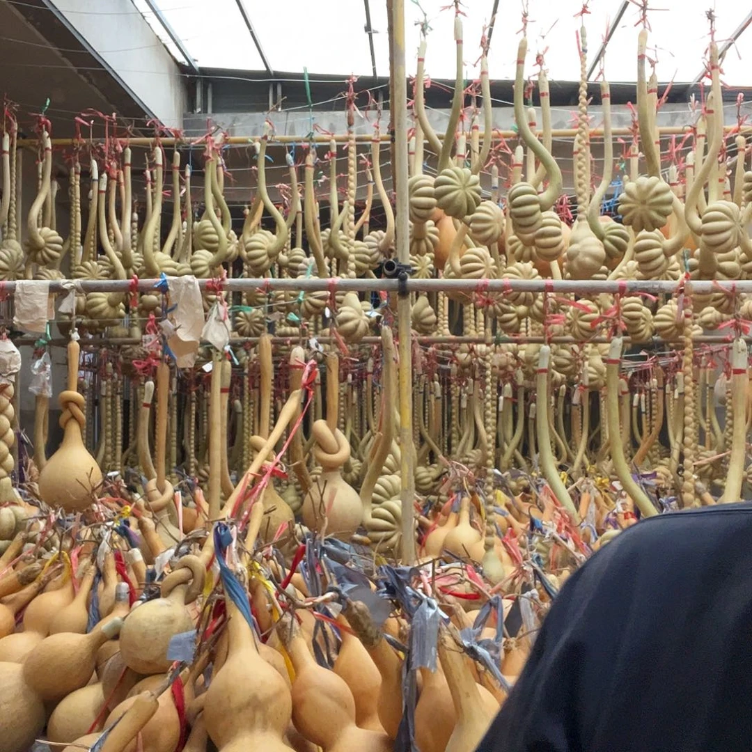 葫芦8888899999988888