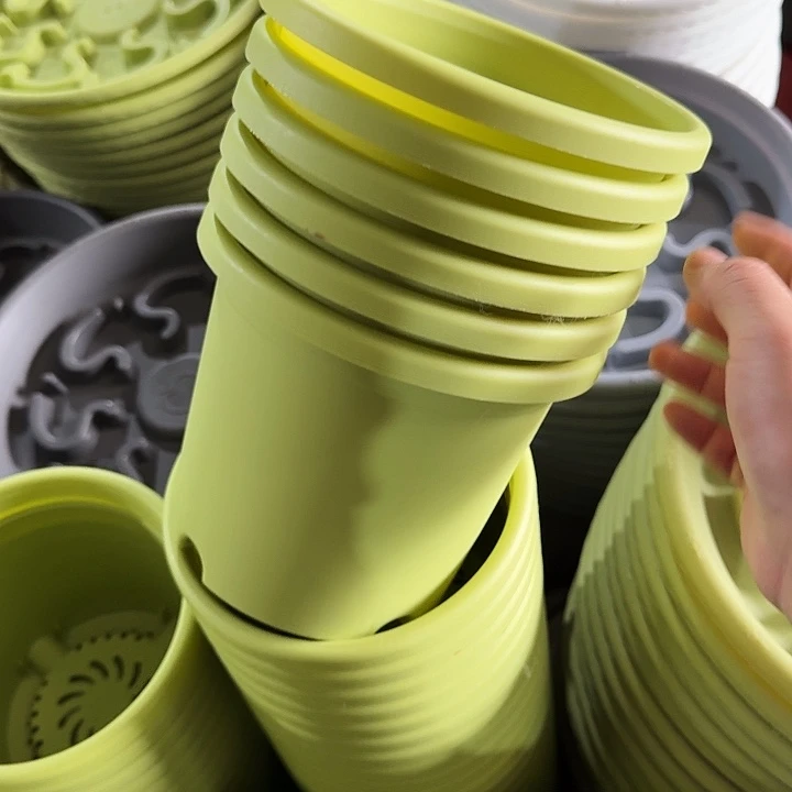 四季2#果绿10个无托