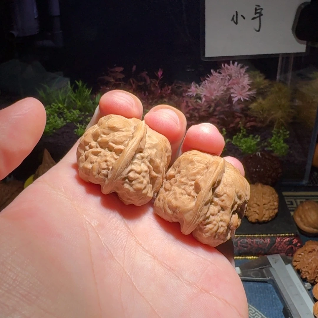 核桃把件297号蛤蟆头一根筋福利对