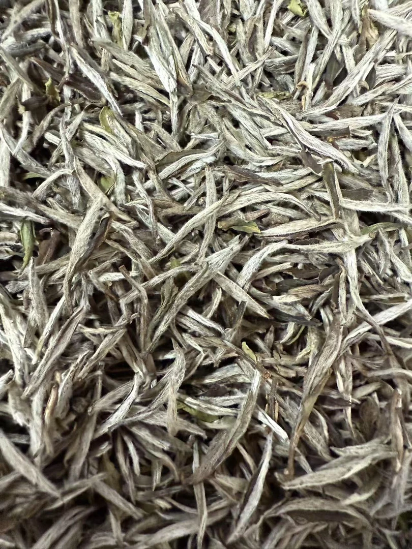 【2022白毫银针】太姥山高山福鼎白茶