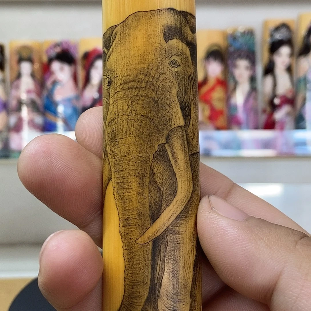 竹春蕾老师针刺大象