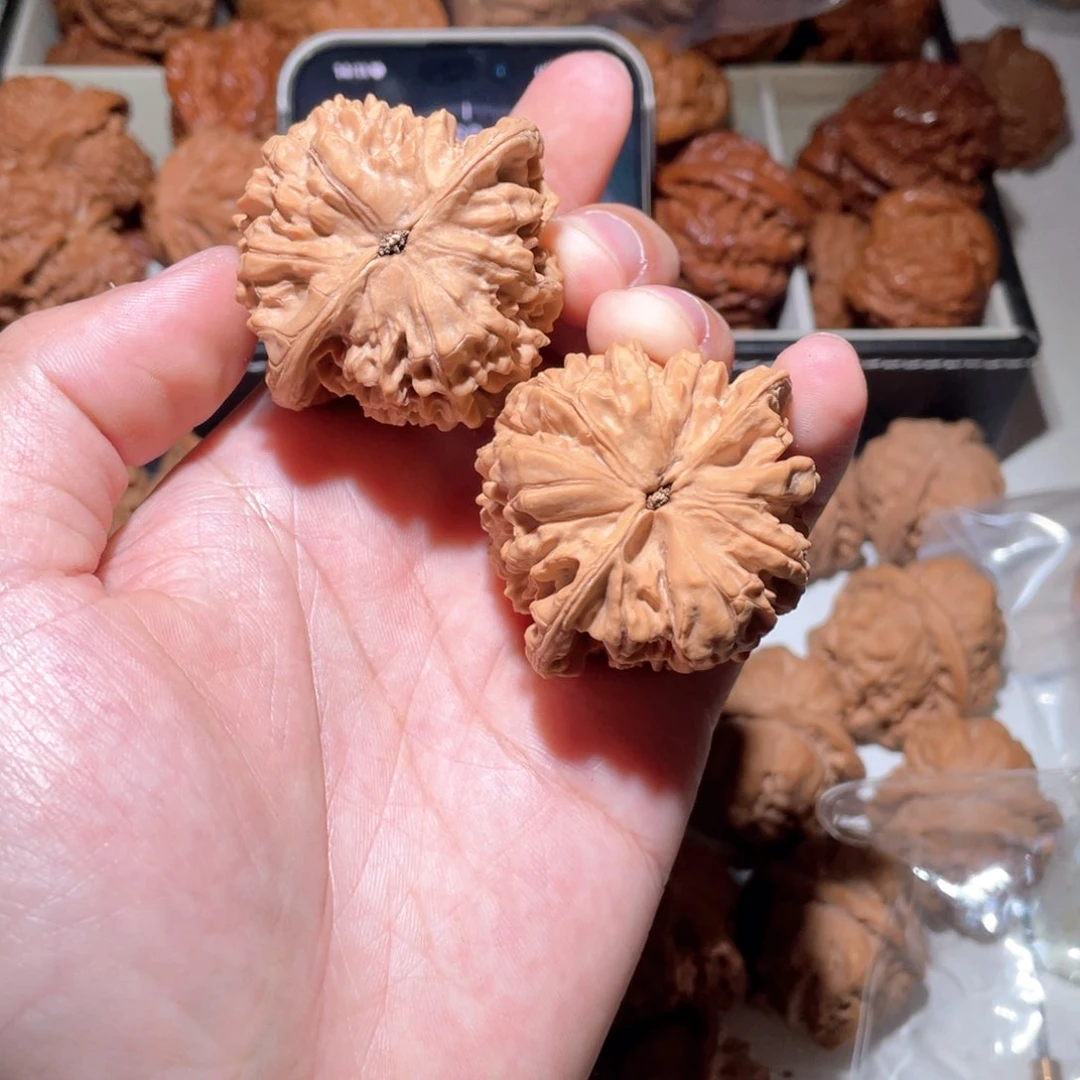 二****?47全品无修官帽狮子头