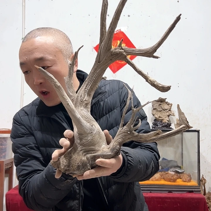 柏木乔*我们都是好孩子呀我