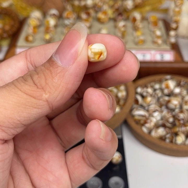 琥珀裸石未镶嵌李****79号