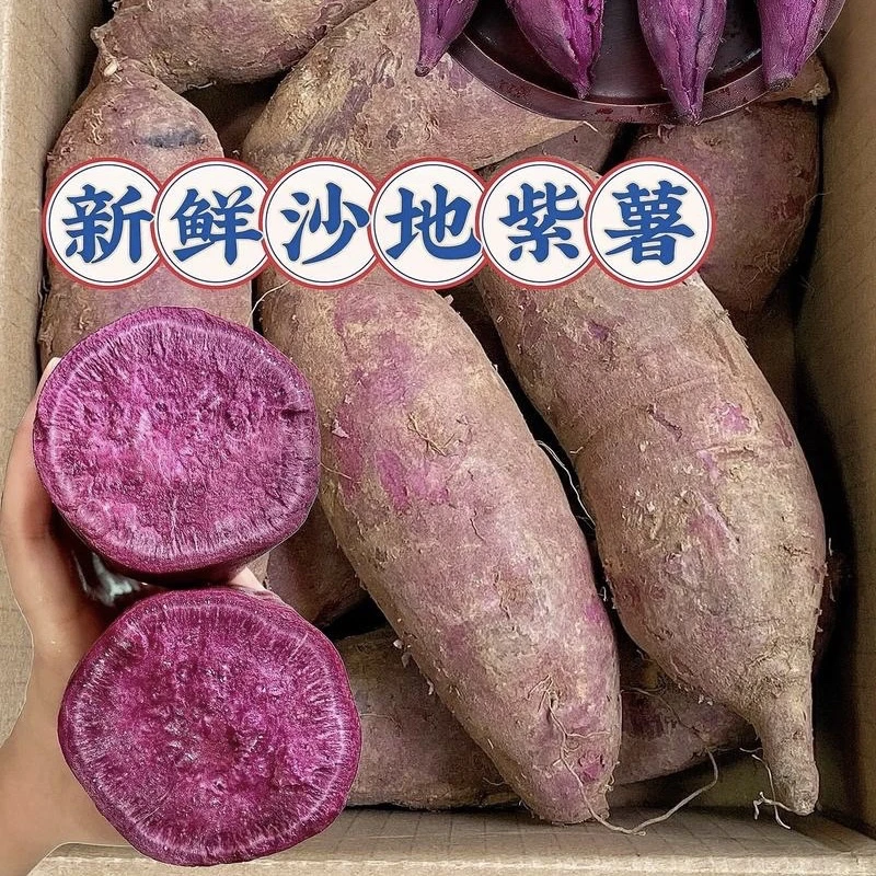 【云货心选】精品新鲜沙地紫薯（粉糯香甜）