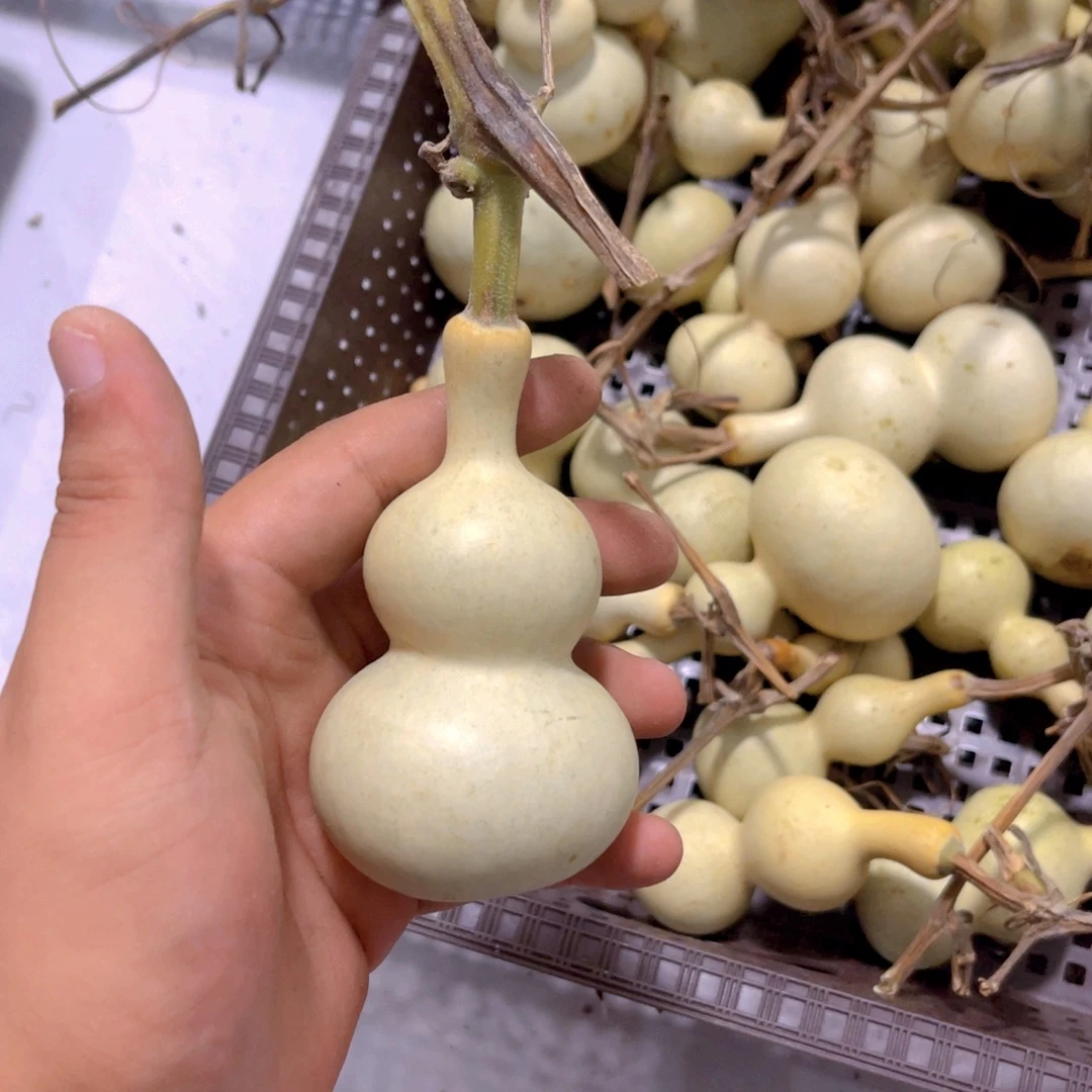 锦***江感谢大哥支持兄弟不保
