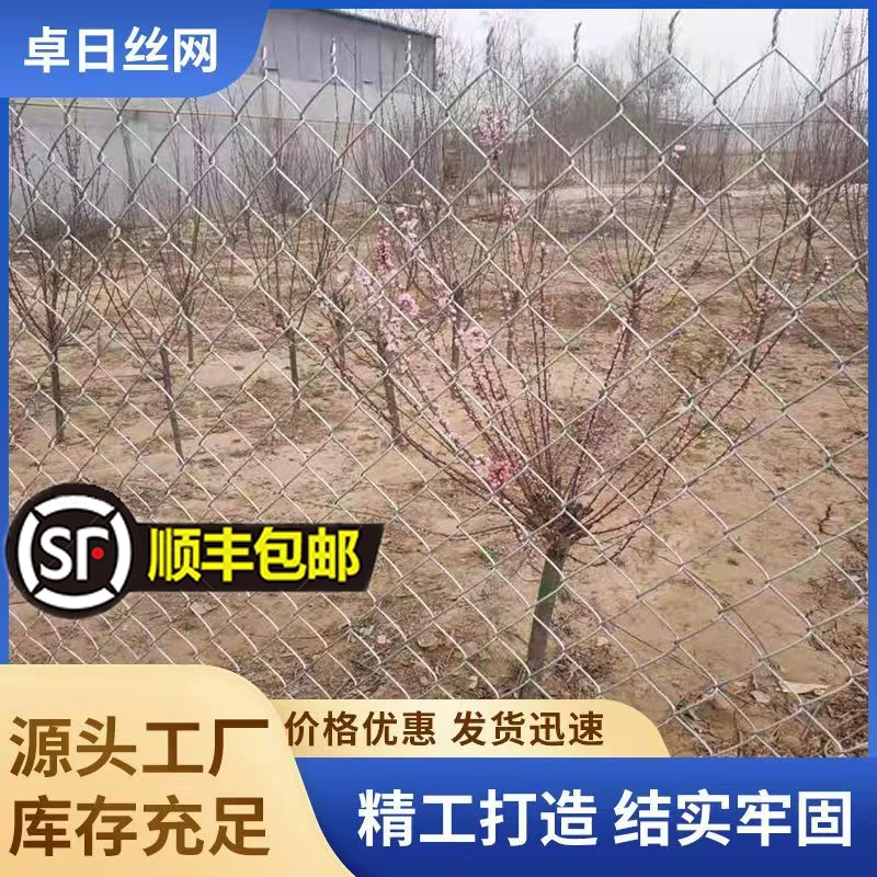结实加粗铁丝网户外围栏防护网热镀锌勾花网养殖钢丝网果园护栏网