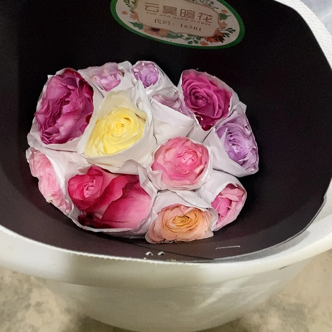 11号云昊10支混色单头玫瑰45cm/不包邮