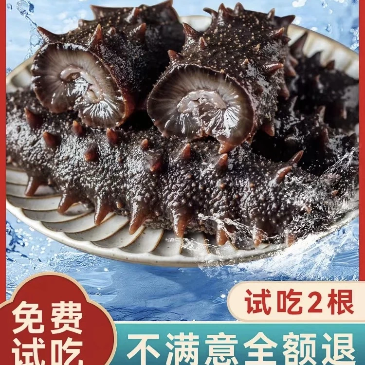 即食海   海鲜食海参10-12头 顺丰包邮
